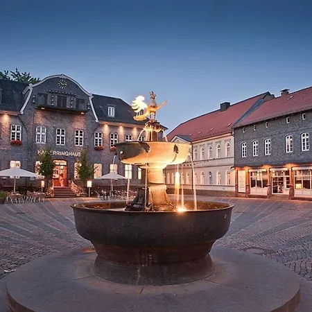 In Mit Terrasse Und Grill Apartment Goslar